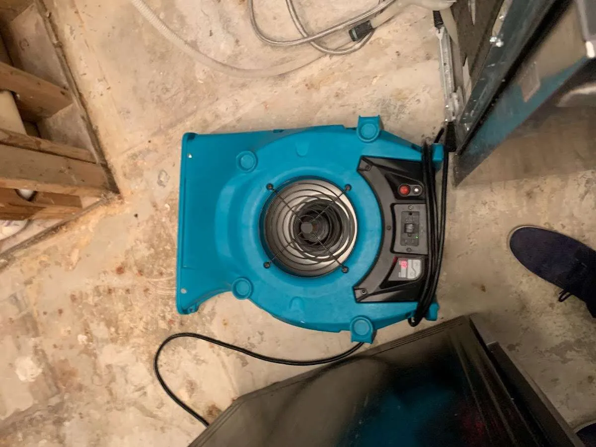 Air mover drying equipment for Mold Remediation & Removal in Spring Valley